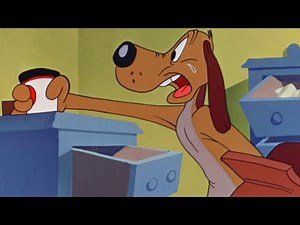 Little Orphan Airedale 2/3