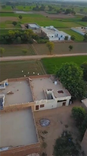 Seet Lehar (Dekh Le) म्हारे गाम का नजारा #shorts #trending