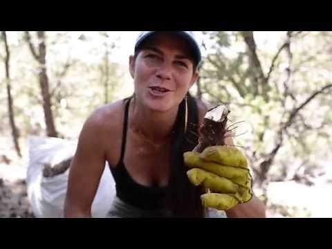 How To Make Yucca Root Soap: A High Desert Survival Skill