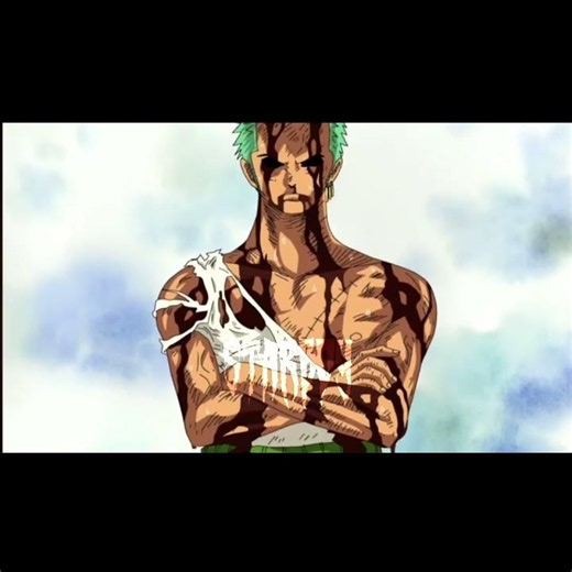 zoro + tanjiro both are swordman