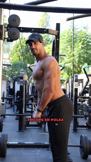 Rutina Hombro Press Francés - Gym