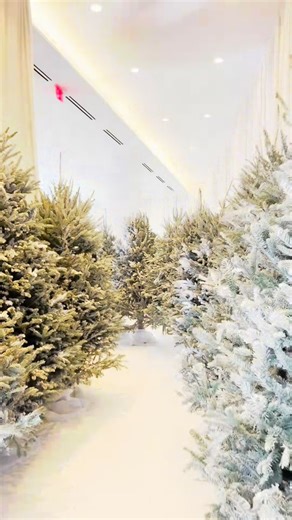 VENEVENTS | FLORAL ART | EVENT DESIGN on Instagram: "Winter Wonderland baby shower Planning & Design: @ishine.events Branding & Paper Goods: @dandscreationsco Photographer: @justbashton Floral Decor: @veneventsl Printing: @quickprintsfl Cake : @cakesbyjohngerard Candles: @romantic_candless Buildout : @mariestouchpartyshop Lighting & Led Wall: @mpeeventgroup Draping: @elitedraping #babyshower #viral #design #christmastree"