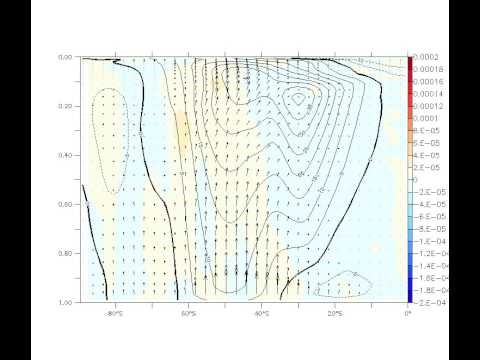 wave activity stat full