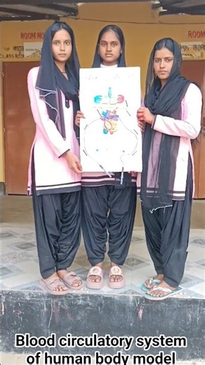 Human Body Blood Circulatory System Model➡️ মানৱ দেহৰ ৰক্ত সঞ্চালন প্ৰণালীৰ মডেল ❤️🫀🩸#humanbody
