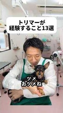 みんなは何の犬種が好き？🐶資格がいらないの知らなんだ！でもたいていのとこは募集要項に民間資格が必須となっているみたい🤔猫ちゃんのお客様も10％くらいいるんだって！😸🎀#トリマー