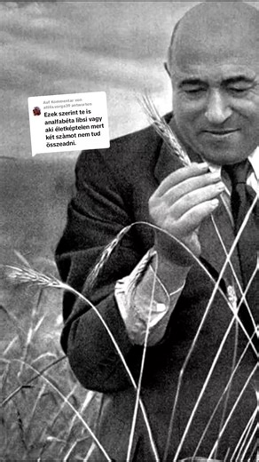 Exploring Socialism: Insights from Education and History