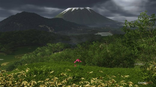 How to Farm Flowers in Ghost of Yotei