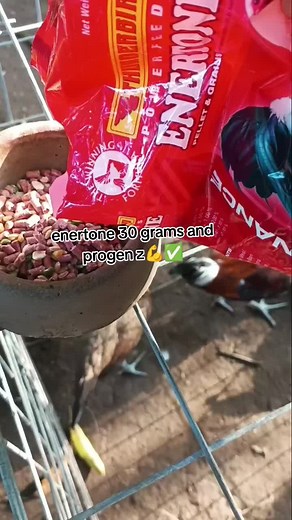 cire nek gf on TikTok