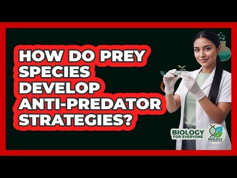 How do prey species develop anti-predator strategies?