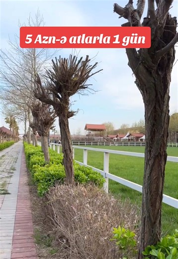 Bəs, sizcə, hansı atçılıq mərkəzi? #bakurestaurants