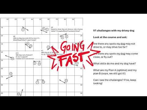 Tips on breaking down and remembering agility courses