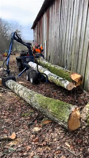 Geting some firewood using my atv and @bonnet.se logtrailer. #log #logging #atv #grizzly #yamaha #happy | Project of the day