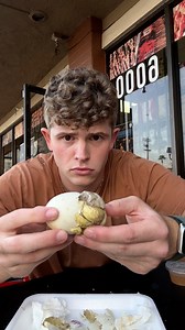 The Infamous Balut Egg🐣🤢 #balut #egg #mukbang #thefoodguy #foodchallenge #viral #trending #filipino | Tommy Winkler