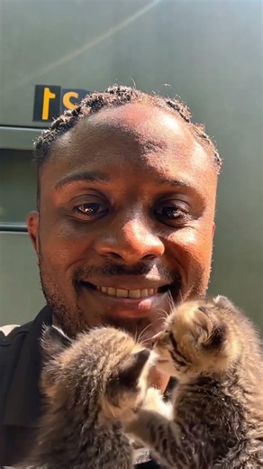 😂😂😂😂😂😹😹this cat ai shii funny 😆 #subscribe