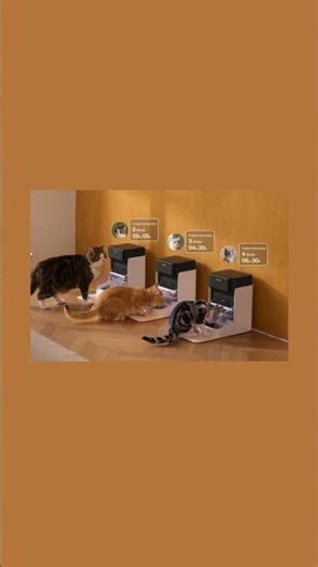 Smart RFID Feeding Explained | PETLIBRO Automatic Pet Feeder
