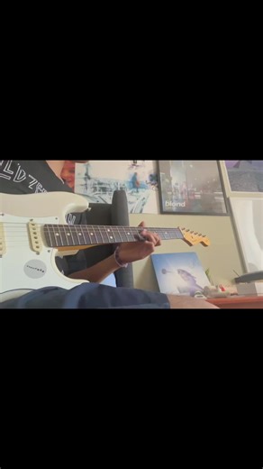 The Impact of Geese on Local Ecosystems