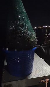 98 reactions · 5 comments | Shrimping season in pointe-aux-chenes Louisiana #shrimp #shrimpseason #shrimprecipes | Lance Billiot | Facebook