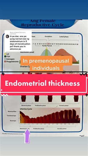 Replying to @Mariel Dumlao what is the normal endometrial thickness during menstruation #endometrium #obgyn #doctorsoftiktok #doctoranswersquestions