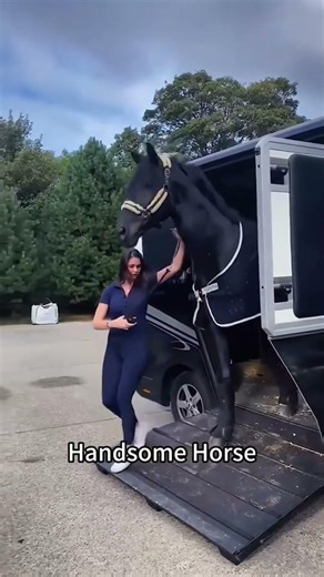 Error 404: Horse logic not found.#shorts #funnyhorse #horsememes #2026 #animalchaos