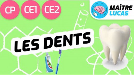 Les dents CP - CE1 - CE2 - Cycle 2 - Science - Questionner le monde