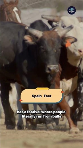 Spain Facts That Feel Unreal 🇪🇸🔥 || #spainfacts #worldfacts @FactwaveDaily01