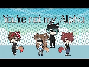 You're not my alpha (Part 1)