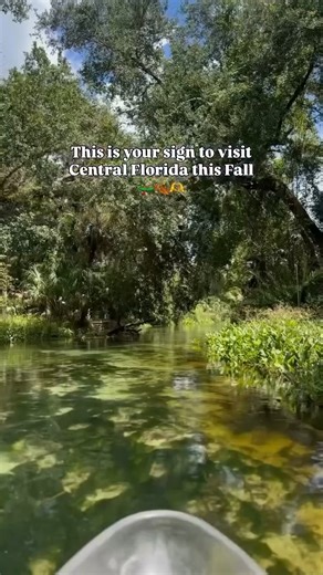 1.5K views · 29 reactions | Cooler temps and less crowded make Fall a great time to visit Florida! Add this one-of-a-kind kayak adventure to your bucket list  Rock Springs at Kings Landing | Get Up And Go Kayaking | Facebook