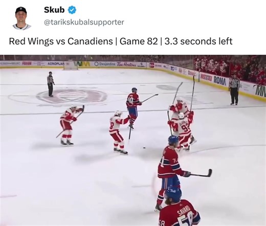 David Perron's Epic Comeback Ties Game for Red Wings