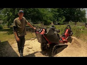 Pros & Cons Of Renting A Stump Grinder As A Tree Removal Contractor