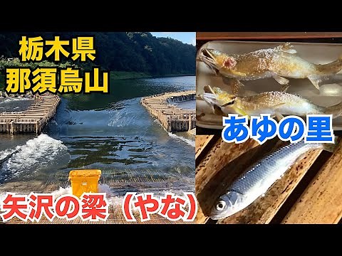 あゆの里 矢沢のヤナ 栃木県那須烏山市滝田。梁漁（やなりょう）とは、川の中に足場を組み、木や竹ですのこ状の台を作った梁（やな）という構造物を設置し、上流から泳いできた魚がかかるのを待つ漁法