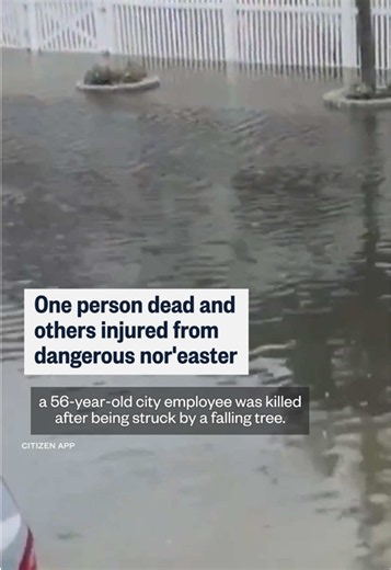 The New York City Housing Authority said one of its employees was killed by a fallen tree in Brooklyn, as a powerful nor’easter pelted the city with rain and strong winds.