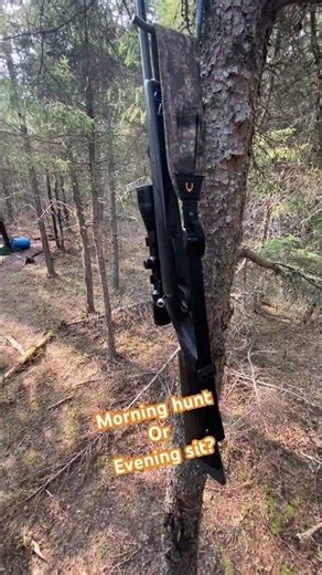 Girl just wants to have fun! #treestand#hunting#shorts