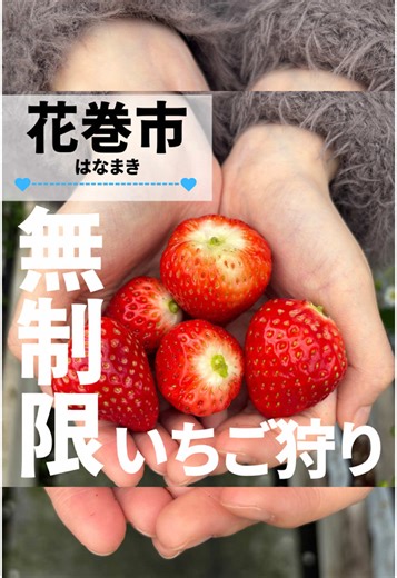 岩手県花巻市のいちご狩り体験