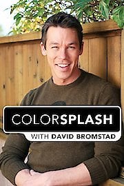 Watch Color Splash Season 11 Episode 1 - College Kitsch Goes Elegant