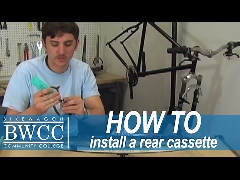 Installing the rear cassette on a bike - Bikewagon Community College