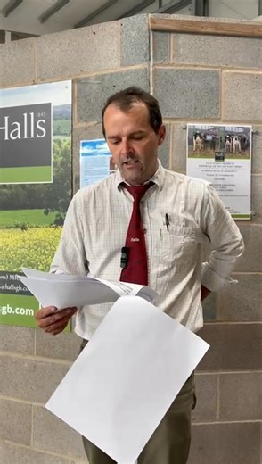 8.3K views · 46 reactions | Shrewsbury Auction Centre Tuesday 9th September 2025 Market Report For More Information Please Contact ☎️Office 01743 462620 Or Email market@hallsgb.com | Halls Livestock and Machinery Sales | Facebook