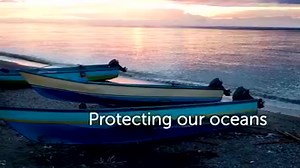 Meet the fishermen behind Fair Trade Certified seafood and learn about the positive impact of sustainable seafood: http://3bl.me/xg555m | Safeway