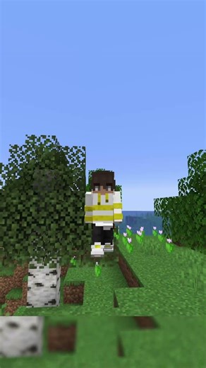 Eine Tolle Deko! #minecraft#shorts