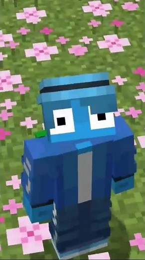Minecraft's Newest SMP! (Applications Open!)