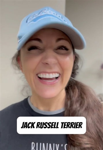 Hilarious Dog Grooming Comedy That Will Make You Laugh