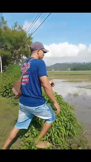 4 comments | #reelvidio #pengikut #semuaorang Mas WA Bpke Fika | Nur Rohayati | Facebook