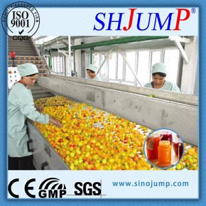 [Hot Item] High Quality Mango Jam Production Processing Line