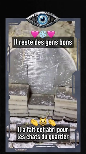 ❄️ L'HUMANITÉ N'EST PAS MORTE