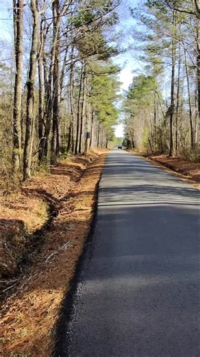 Nick x The Wildlands on Instagram: "Just retrieving one of my trail cams so we can set it up at the Beaver Dam so we can watch the beaver rebuild."