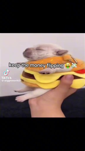 cocopuffs (@cocopuffs8006)’s videos with original sound - cocopuffs