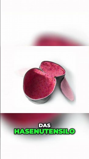 Nähanleitung: Niedliches Hasenutensilo für Ostern #holidayswithyoutube