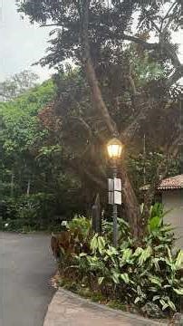National Orchid Garden entrance Singapore 20260419