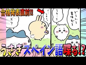 【ちいかわ】無事試験を終え結果が不安になるちいかわに、うさぎが予想外の言葉を発する！【最新話】