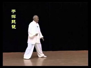 Yang Style Tai Chi 13 style 杨式太极十三式