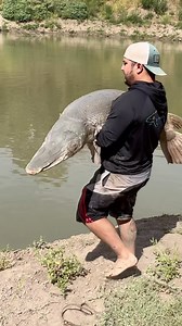1.8K views · 66 reactions | Releasing this Trinity River giant! Check out the school of hogs that came in on the other bank 酪 • • #fishing #summer #outdoors #garfishing #reelsinstagram #adventure #bigfish #fbreels #reels #viral #motivation #tuesday #today #youtuber #catchandrelease | Bigrichfish | Facebook
